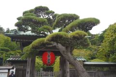 Kamakura