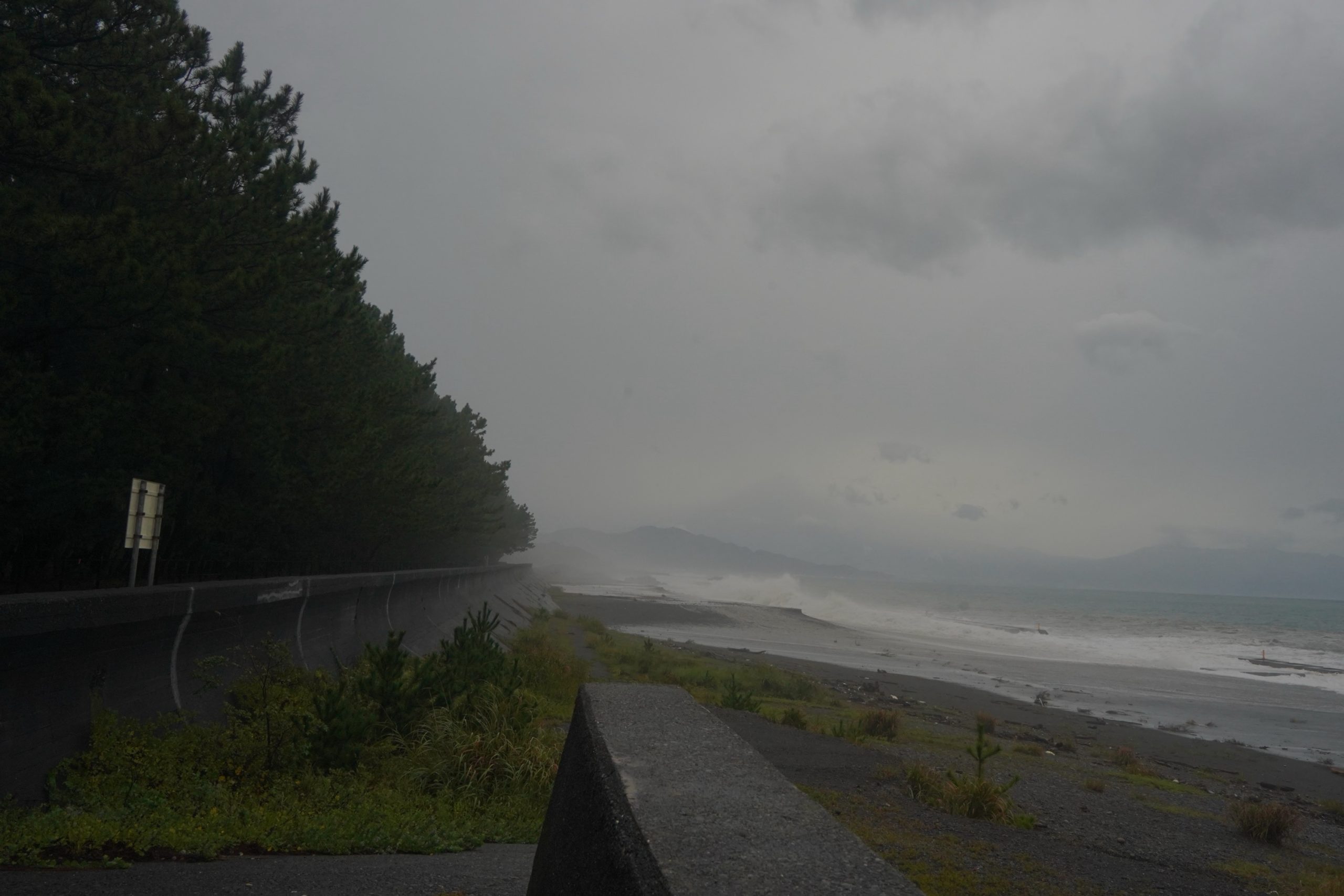 Shizuoka - Miho No Matsubara