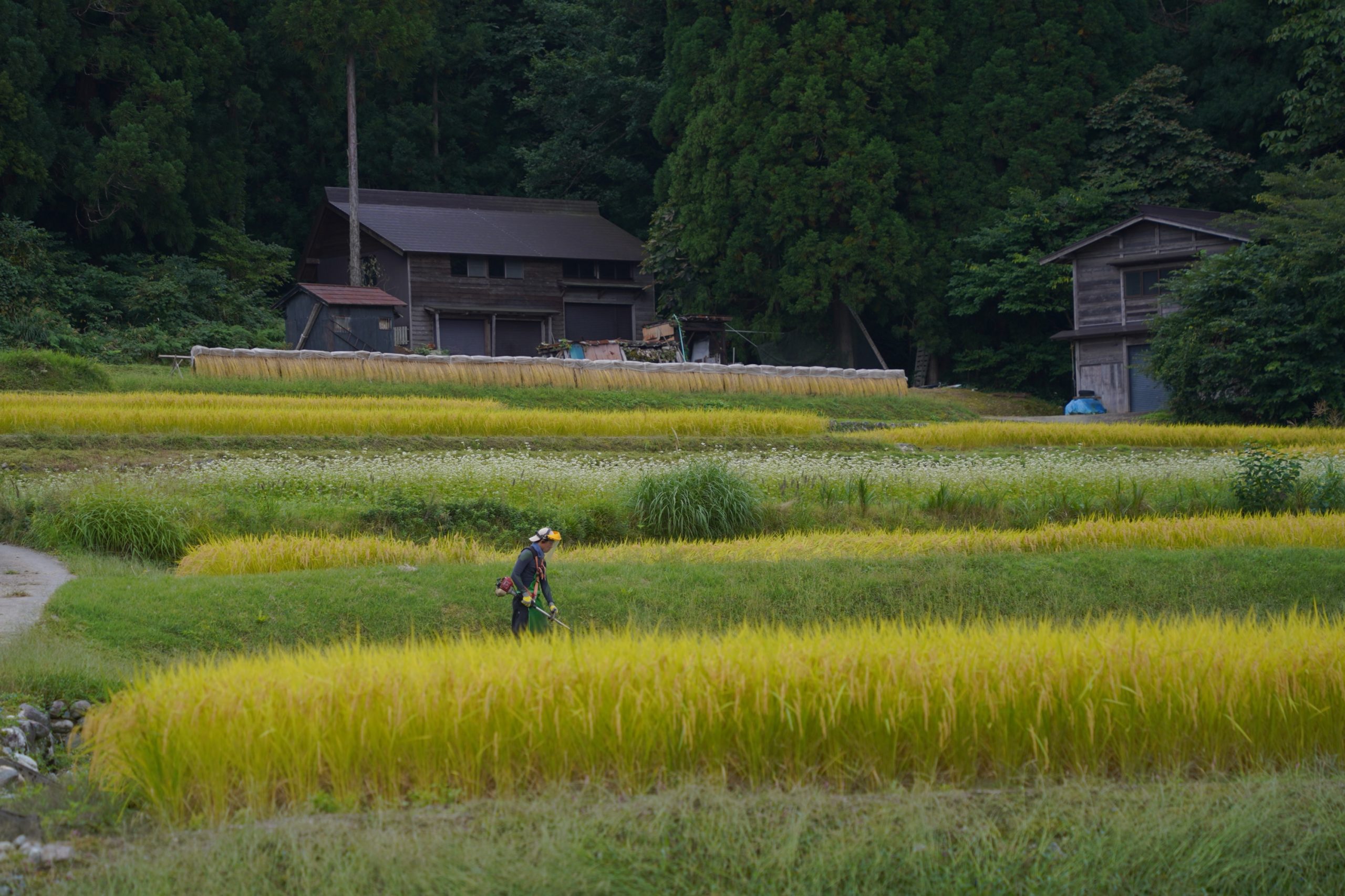 Shirakawa-go