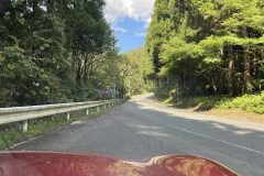 verso Haruna