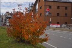 Sestriere