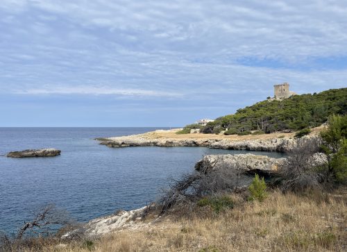202606Salento0031