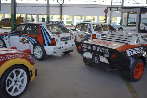 DSC03021 (1)