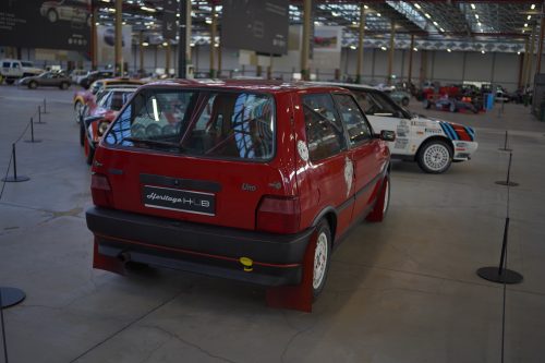 DSC03029 (1)
